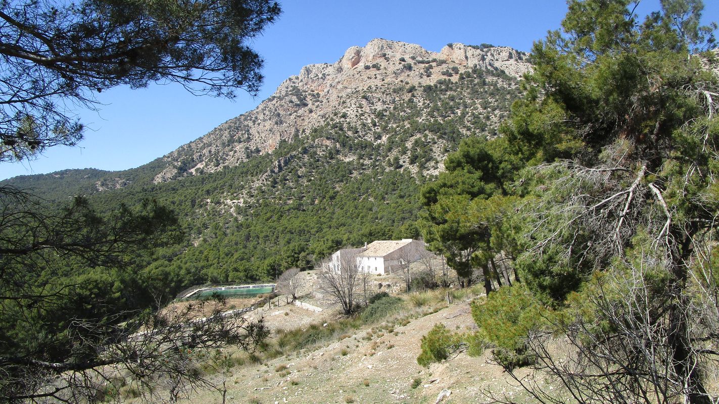 19-03-27-Espuna-schwer-14