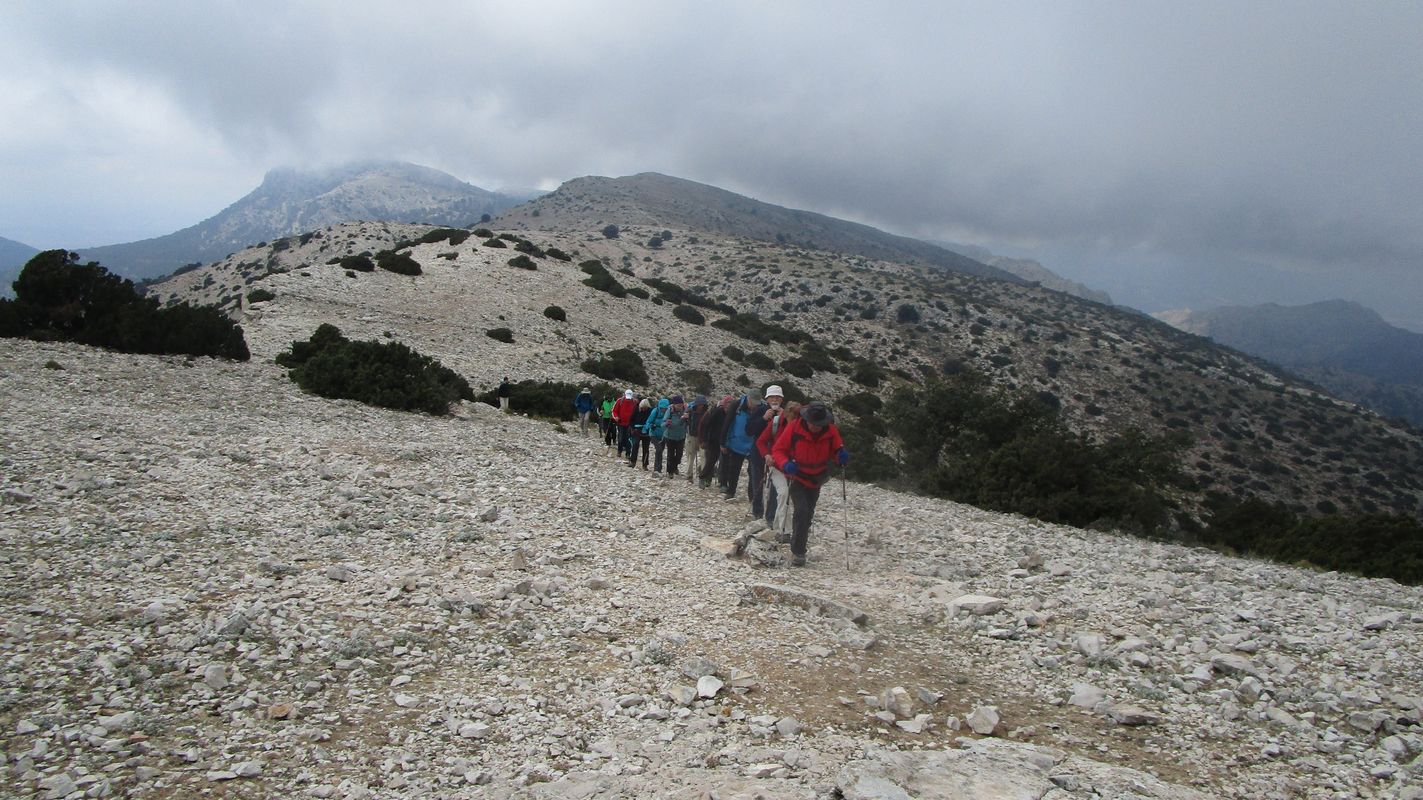 19-03-27-Espuna-schwer-33