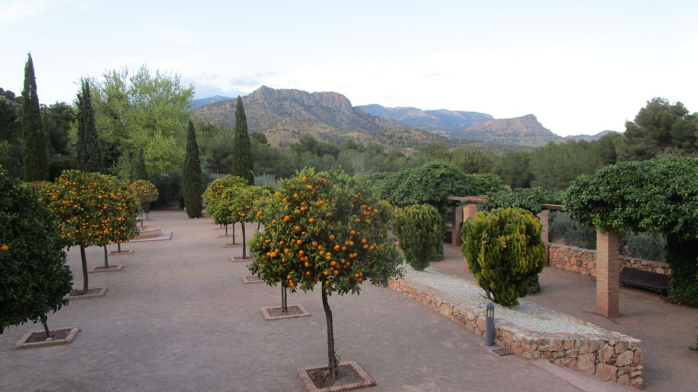 19-03-27-Espuna-schwer-47
