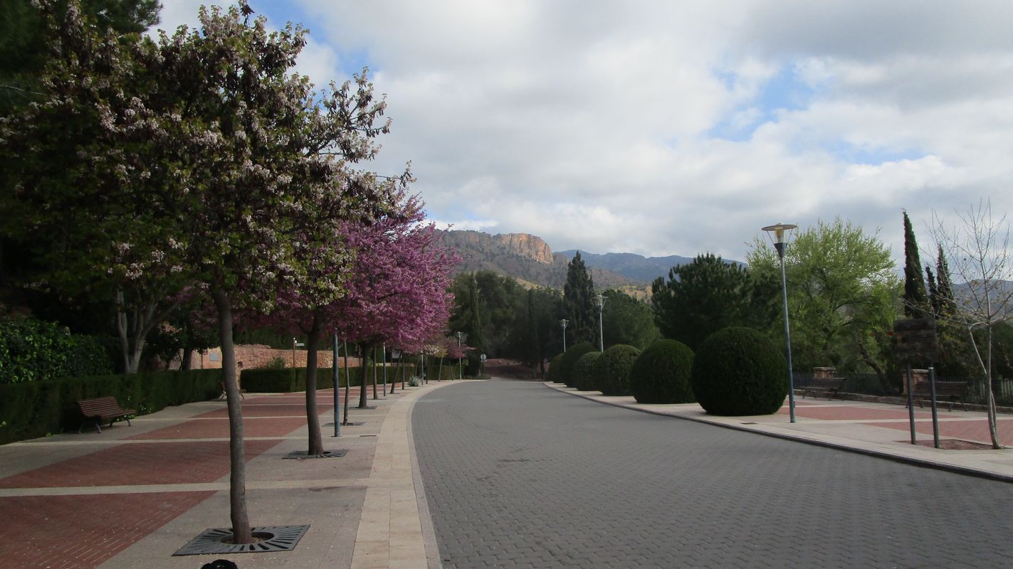 19-03-27-Espuna-schwer-49