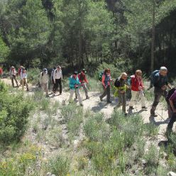19-03-27-Espuna-schwer-03