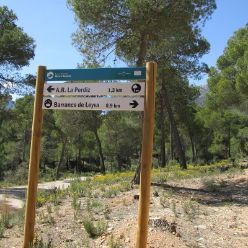 19-03-27-Espuna-schwer-04