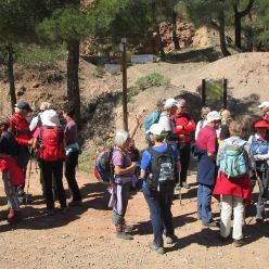 19-03-27-Espuna-schwer-09