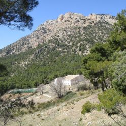 19-03-27-Espuna-schwer-14