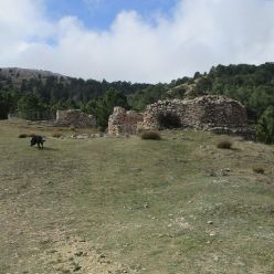19-03-27-Espuna-schwer-19