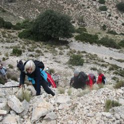 19-03-27-Espuna-schwer-31