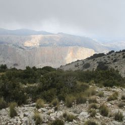 19-03-27-Espuna-schwer-32