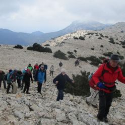 19-03-27-Espuna-schwer-34