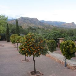 19-03-27-Espuna-schwer-47