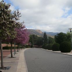 19-03-27-Espuna-schwer-49