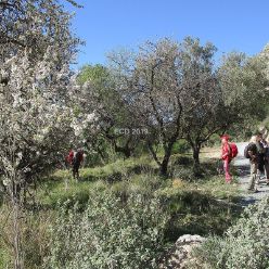 19-02-27-Barranc del Arc-01