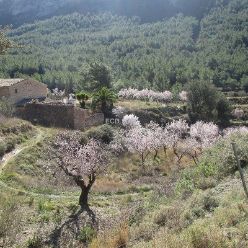 19-02-27-Barranc del Arc-03