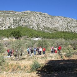 19-02-27-Barranc del Arc-04