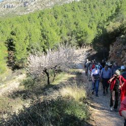 19-02-27-Barranc del Arc-09