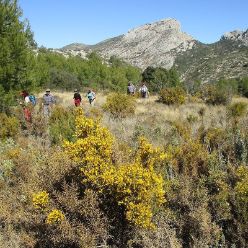 19-02-27-Barranc del Arc-17
