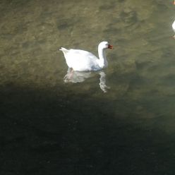 19-02-27-Ruta del Agua-10