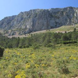 19-05-29-Bernia-03
