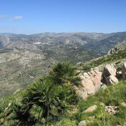19-05-29-Bernia-05