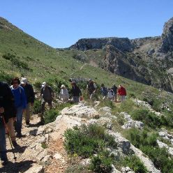 19-05-29-Bernia-17