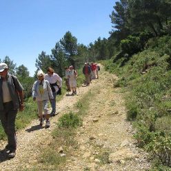 19-05-29-Bernia-19