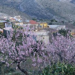 30.01. - Vall de Laguart