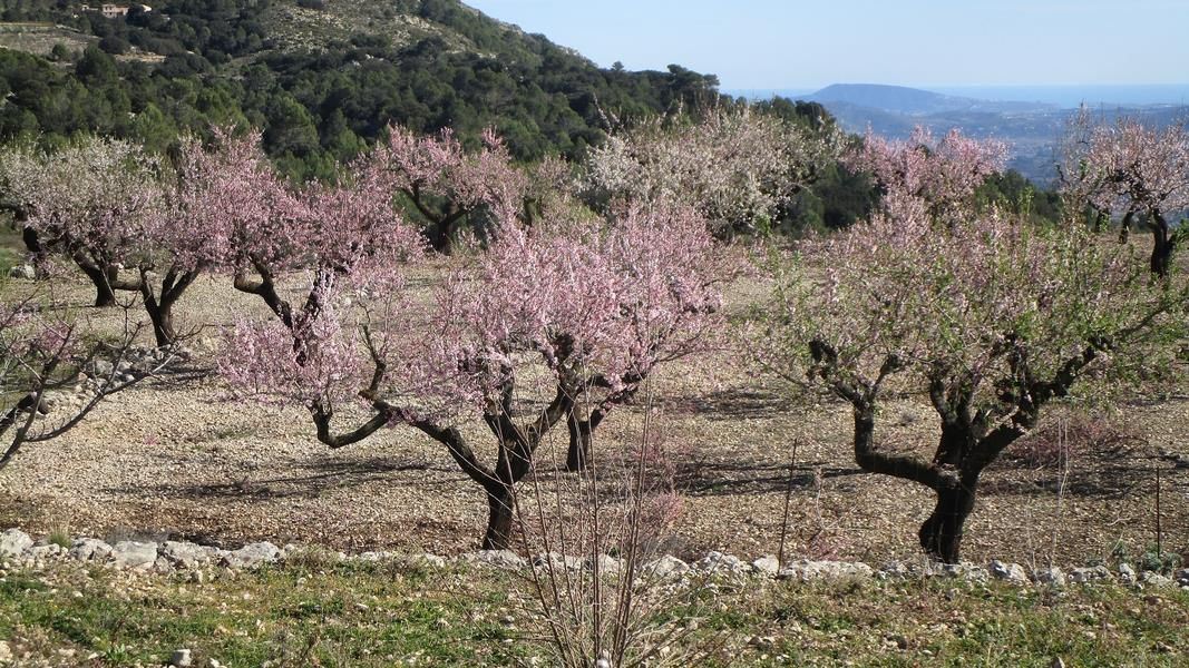 19-01-30-Vall-de-Laguart2-24