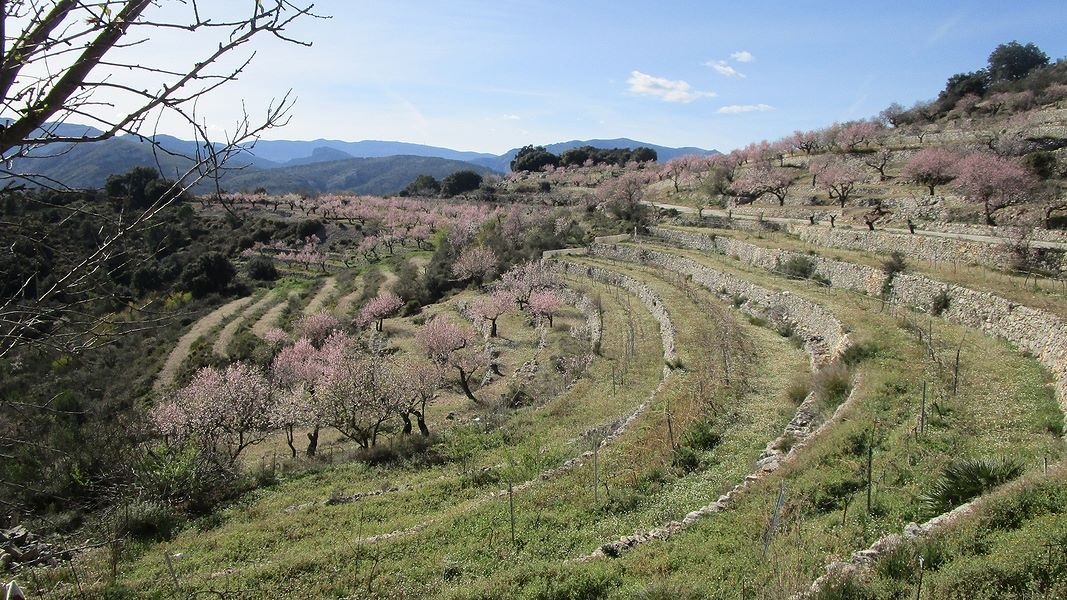 19-01-30-Vall-de-Laguart2-25