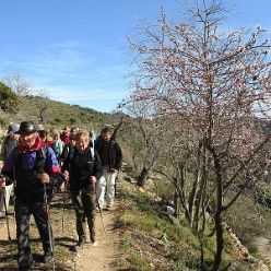 19-01-30-Vall-de-Laguart2-06