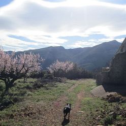 19-01-30-Vall-de-Laguart2-09