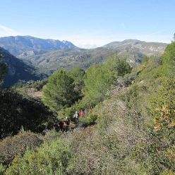 Wanderung 2- durch die Suedhaenge des Vall de Pop