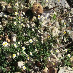 19-01-30-Vall-de-Laguart2-16