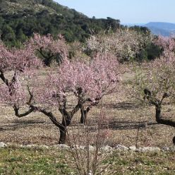 19-01-30-Vall-de-Laguart2-24