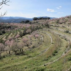19-01-30-Vall-de-Laguart2-25