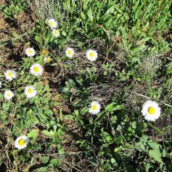 19-10-30-Barranc-Les-Foies-13