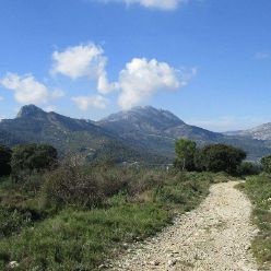 Von Castell de Castells durch den Barranc Les Foies - geführt von Gerth