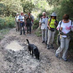 19-10-30-Barranc-Les-Foies-18