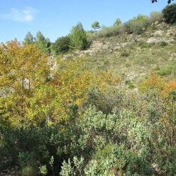 19-10-30-Barranc-Les-Foies-19