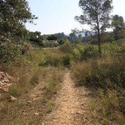 21-09-29-Wanderung-Isbert-Staumauer-22